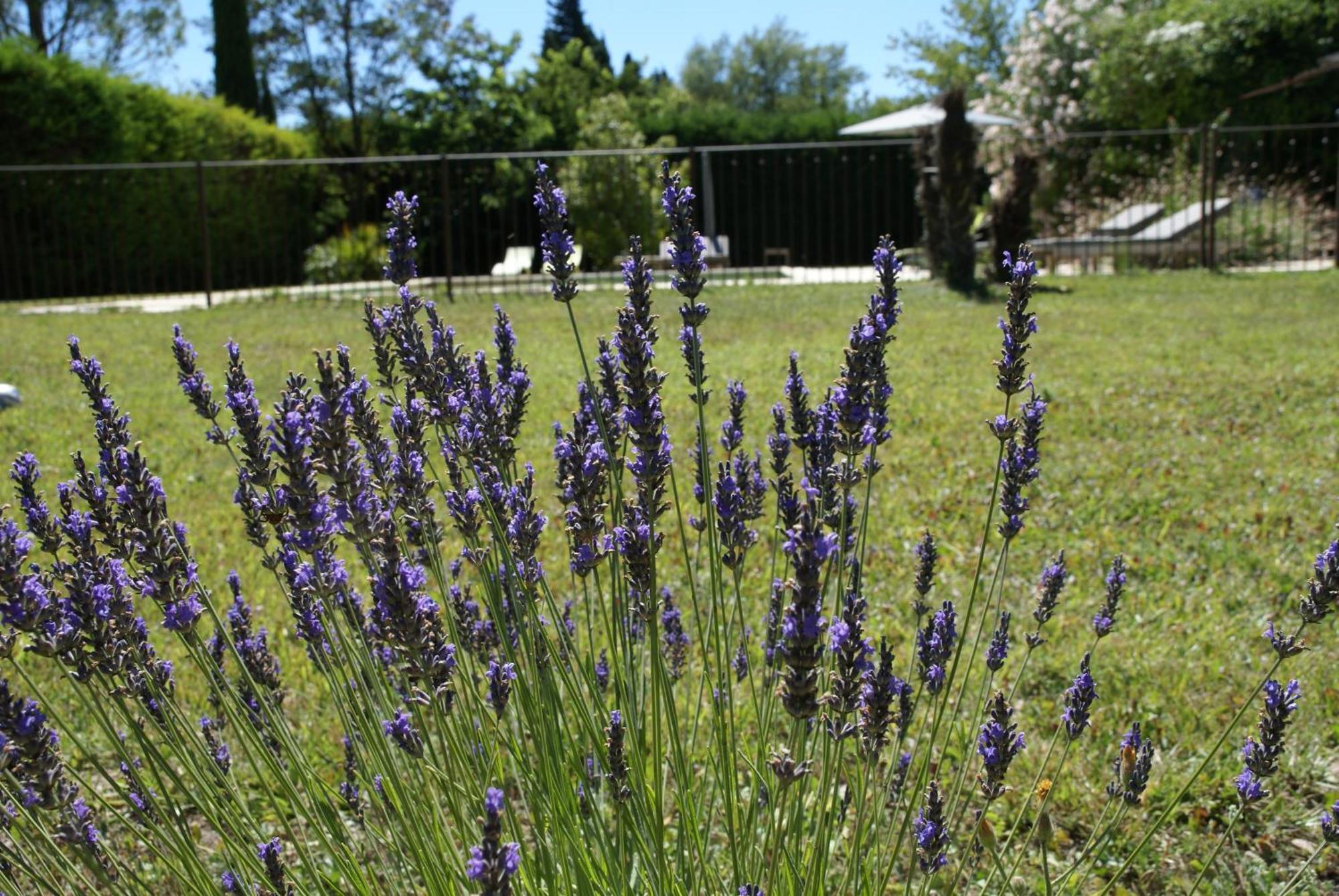 Cote Provence Hotel Le Thor Exterior foto